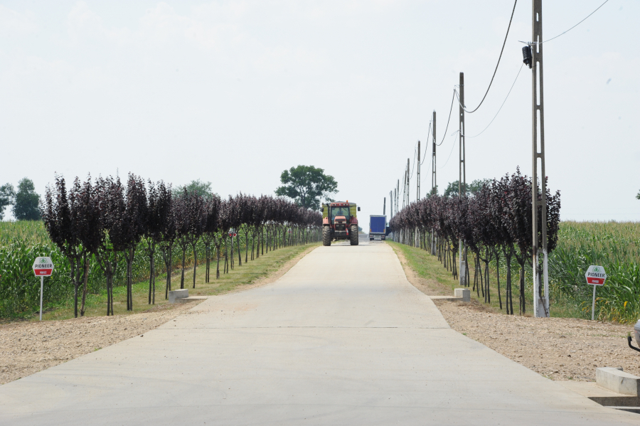 AFIR lansează primele sesiuni de primire a cererilor de finanțare pentru investiții în agricultură și pentru dezvoltarea infrastructurii rurale