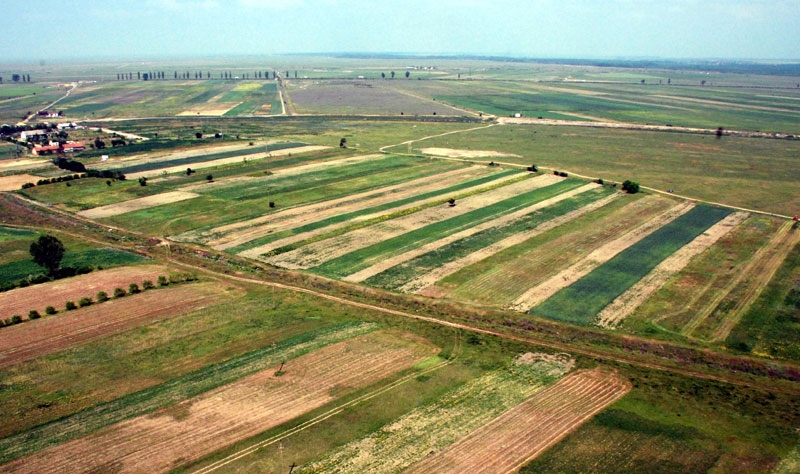 Plăţile directe în agricultură se duc în cea mai mare parte la agricultori de peste 60 de ani