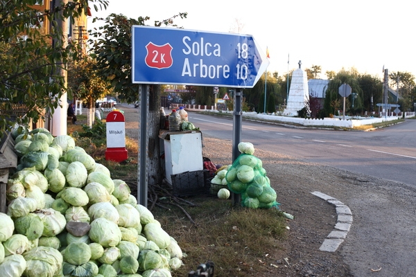 Milişăuţi - Suceava. Legumicultorii de la margine de ţară