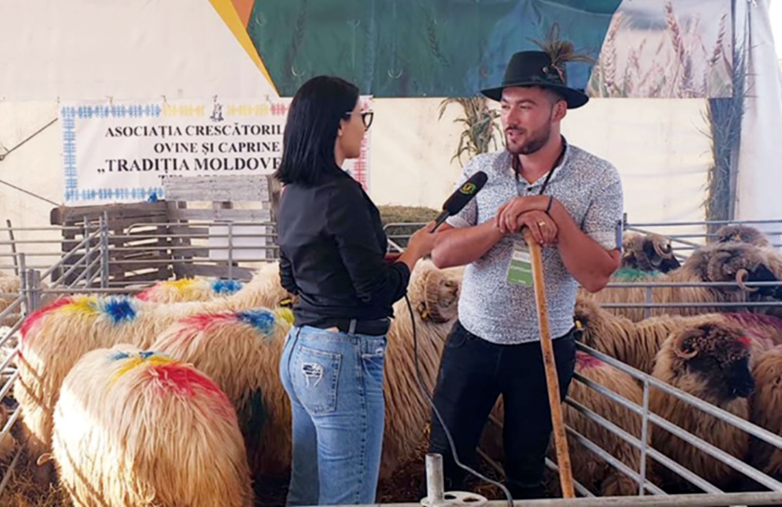 Fermă familială de ovine cu rasa Ţurcană