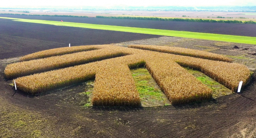 Corteva Agriscience finalizează achizițiile Symborg și Stoller. Achizițiile poziționează Corteva ca lider global în domeniul produselor biologice