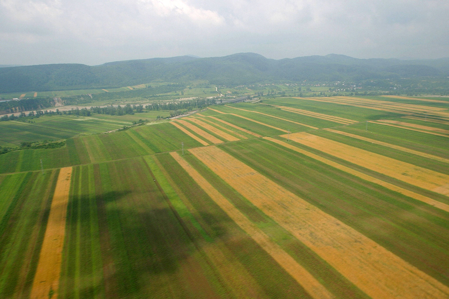 Lucrările agricole specifice campaniei de vară se vor efectua în condiții relativ bune, în perioada următoare