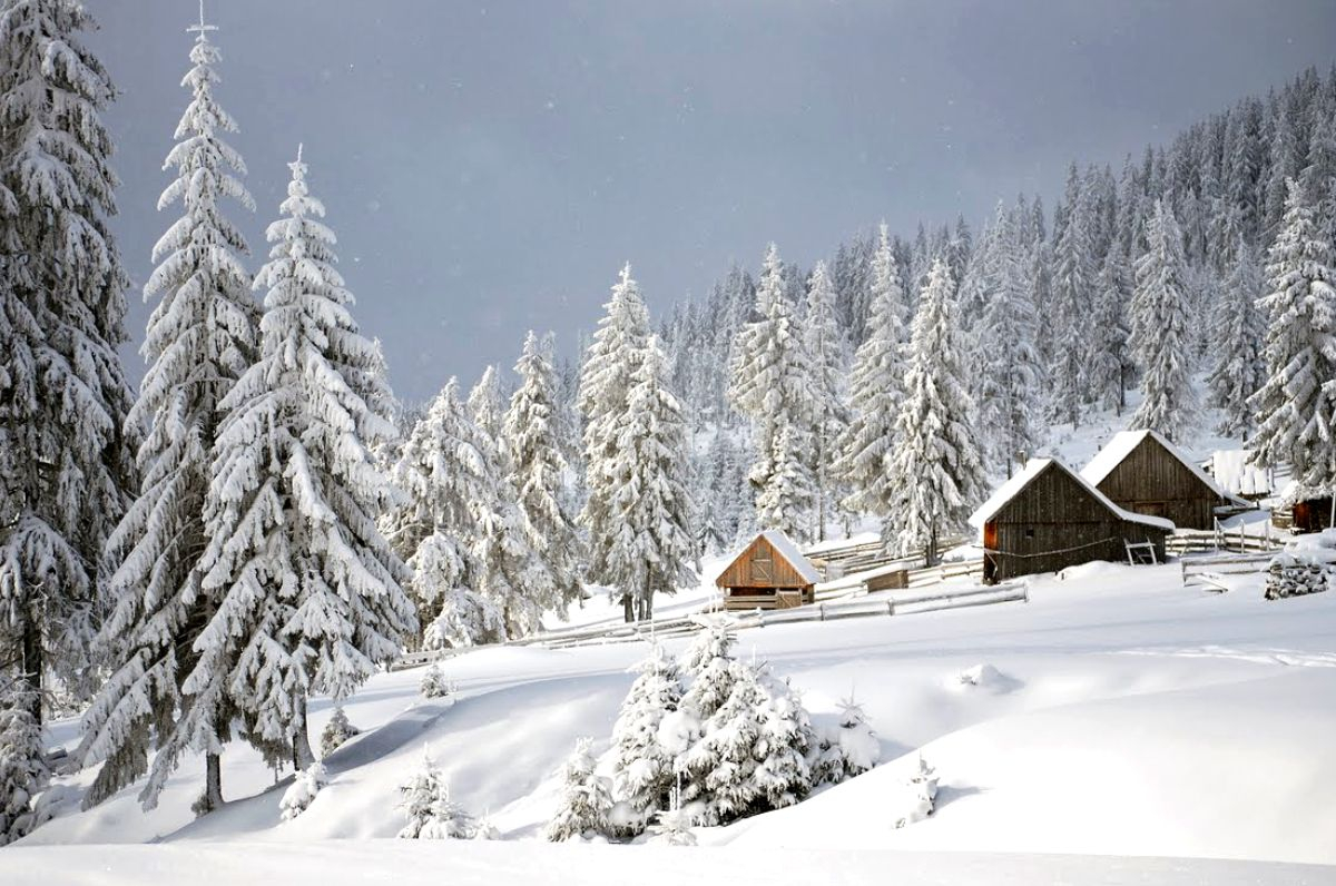 Povești la gura sobei. Povestea lui Teofil