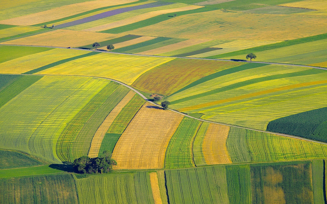 În ritmul de-acum cadastrarea agricolă se va face în 30 de ani
