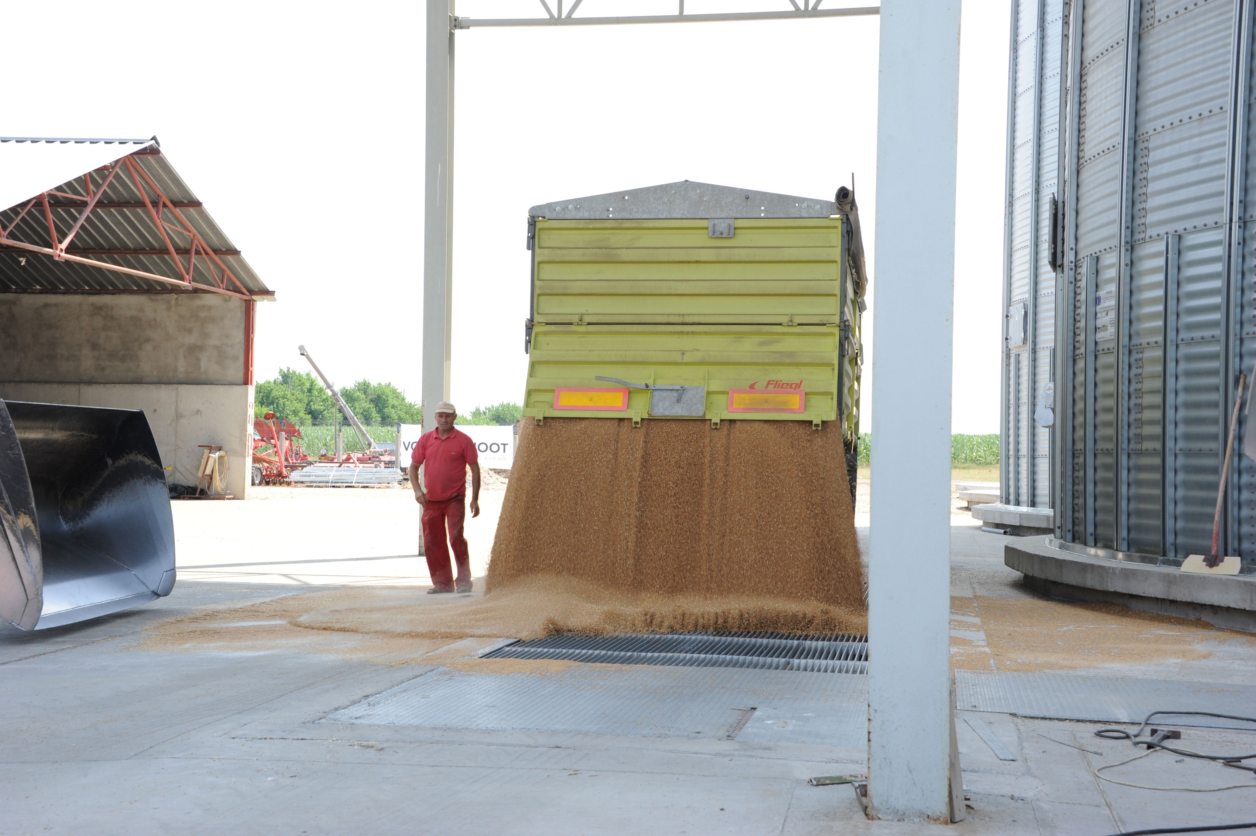 Recoltele-record de cereale au dus în august la scăderea prețurilor la alimente la nivel mondial
