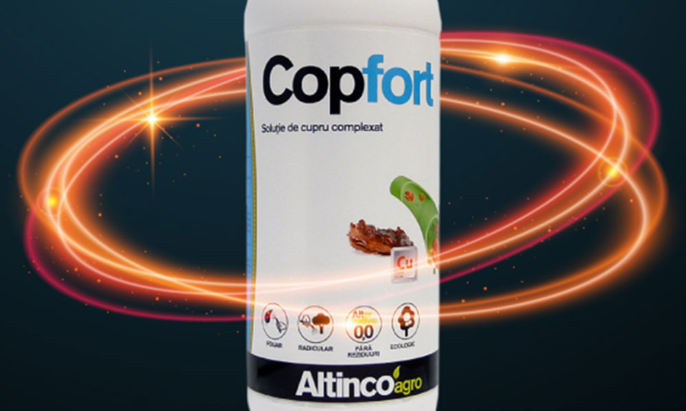 Copfort - Puterea construcției și rezistenței din interior - cupru sistemic