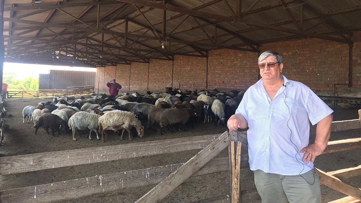 Agro Fruct Plugari SA. Locul unde Karakul de Botoșani „crește“ printre pomi fructiferi