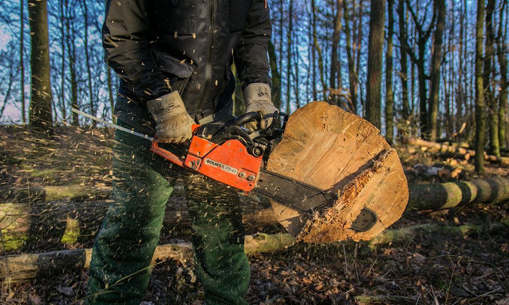 Monitorizare video care să genereze alarme în cazul tăierilor ilegale din păduri