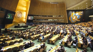 ONU - Al Treilea Comitet aprobă: Declarația Națiunilor Unite a Drepturilor Țăranilor și altor persoane care lucrează în mediul rural
