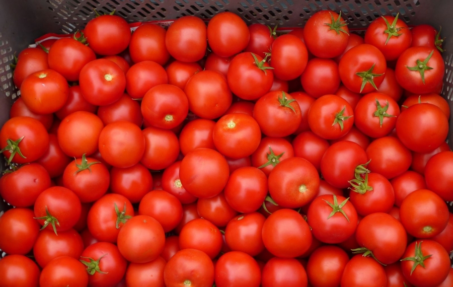 Tomate și ardei iute din Iordania, mere din Macedonia și fasole boabe din Etiopia, cu depășiri de pesticide