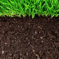 Ce influenţează umiditatea solului