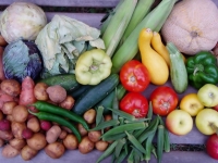 10 tone de legume şi fructe din Turcia confiscate pentru depăşirea valorilor de pesticide