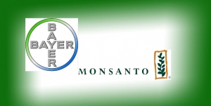 Super-fuziune în lumea agricolă: Bayer a cumpărat Monsanto