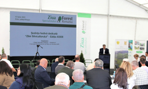 Romsilva și Asociația Administratorilor de Păduri au marcat împreună Ziua Silvicultorului