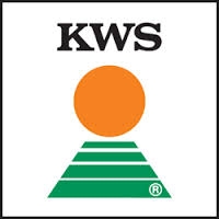 KWS lansează noi hibrizi de porumb
