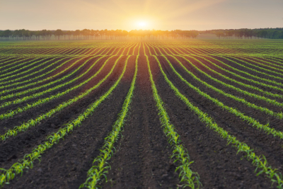 Corteva Agriscience: Soluții de pionierat pentru o agricultură sustenabilă prin reducerea pierderilor de azot