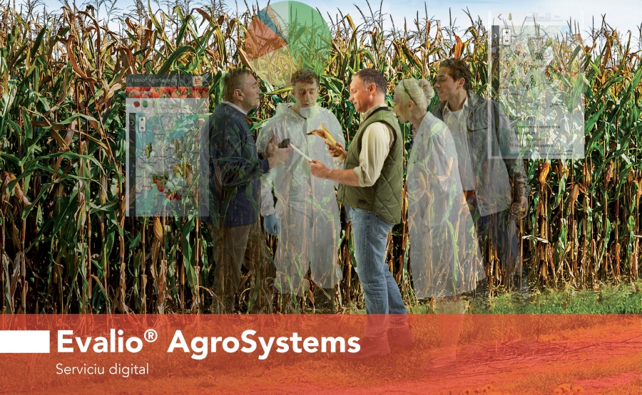 FMC România implementează programul de monitorizare a dăunătorilor EVALIO® AgroSystems în întreaga țară