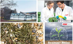 FMC România își extinde portofoliul lansând gama de produse biologice – biostimulatorii ACCUDO® și SEAMAC® RHIZO și bioinsecticidul NEXSUBA®