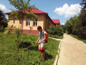 Liceul „Vasile Adamachi“, din Iași, de la școală pentru orfanii de război la colegiu agricol de industrie alimentară