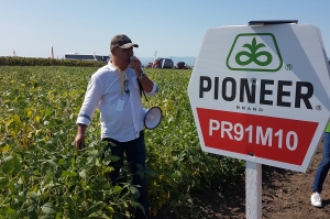 Cu Pioneer, soia este o cultură profitabilă