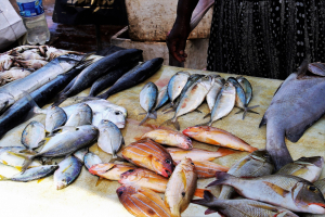 Recomandări privind comercializarea şi consumul de peşte