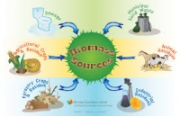 Biomasa, de la potenţial mare la producţie modestă