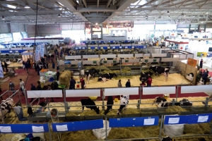 Cremona International Livestock Exhibitions - Zootehnia Italiei, conectată de stat cu lumea întreagă