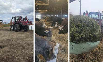 Tânăr de 20 de ani din Neamț, la cârma fermei de vaci a familiei