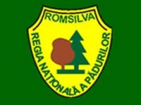 Romsilva va renunţa la activităţile neprofitabile în 2013