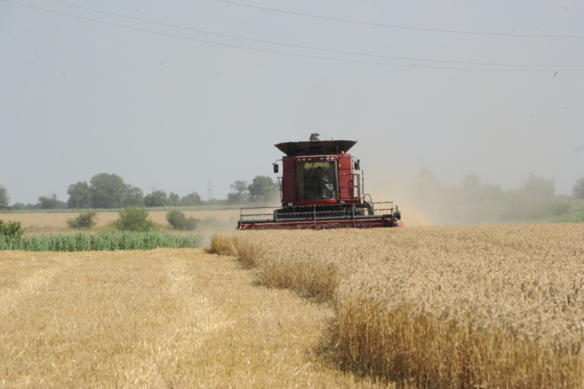 Comisia aprobă o schemă de ajutor de stat a României în valoare de 241 de milioane euro pentru sprijinirea producătorilor agricoli