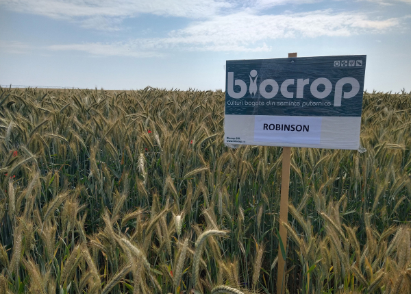 Recolte bogate din parteneriate puternice: Biocrop și Agrichim Fetești