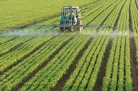 Franţa recunoaşte: pesticidele sunt cancerigene