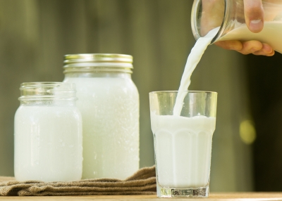 Recomandări privind producerea și valorificarea laptelui de oaie