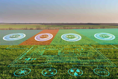 Progresul agriculturii digitale în România cu ajutorul științei Inteligenței Artificiale