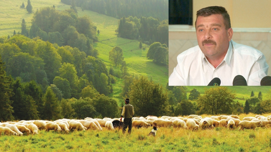 Dan Petrescu, președinte APCR: „Nu mai vrem ca pășunile să fie date celor care nu dețin animale sau grupurilor de interese“