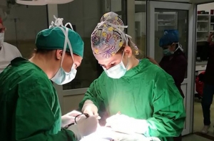 Sterilizări gratuite pentru cățeii și pisicile fără stăpân din Cluj-Napoca