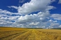 Radiografia agriculturii româneşti
