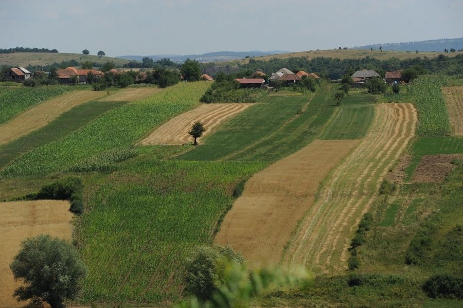 Măsuri pentru implementarea fondurilor europene pentru agricultură și dezvoltare rurală
