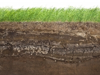 Factorii care pot împiedica pierderile de apă din sol prin evaporare