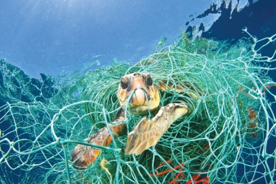 „În 2050 oceanele ar putea avea mai mult plastic decât pești“