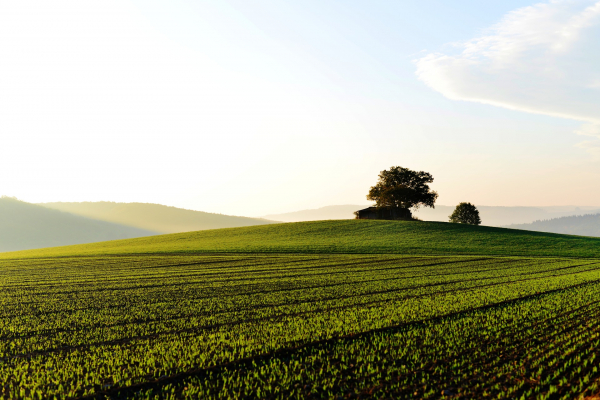 BASF își asumă obiective ce susțin creșterea agriculturii durabile în Europa