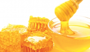 Promovarea mierii ca produs alimentar sănătos în sectorul învățământului public
