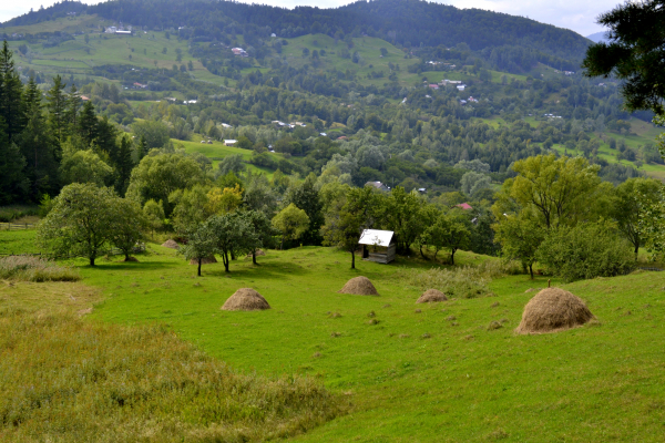 Bisoca, satul din Buzău cu bogății naturale și spirituale fără egal