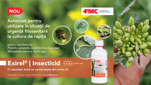 Autorizare de urgență a insecticidului Exirel® de la FMC, pentru combaterea celor mai dificili dăunători din culturile de rapiță