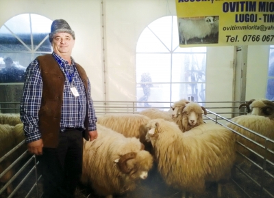 „Decât la cules de căpşuni, mai bine oier în România“