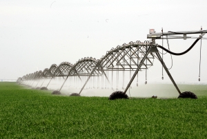 AFIR finanțează prin PNDR 2020 infrastructura secundară de irigații