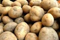 INS: Cartofii, mai scumpi cu 27% în septembrie