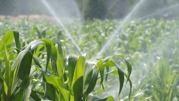 Clubul Fermierilor Români propune elaborarea și aplicarea unei strategii naționale de gestiune integrată a apei pentru agricultură