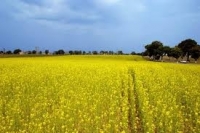 „Fermierii din România fac agricultură în ţara potrivită“