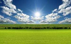 Lumina solară, în sprijinul creşterii producţiei agricole